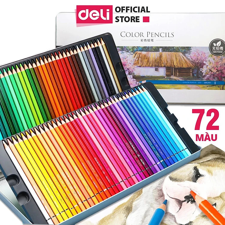Bút chì màu gốc dầu cao cấp Deli 